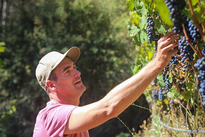 Drumstruck at Silvermist. Live African Drum Show & Wine tasting - Wine Tasting With Gregory Brink Louw and Four Constantia Bottles
