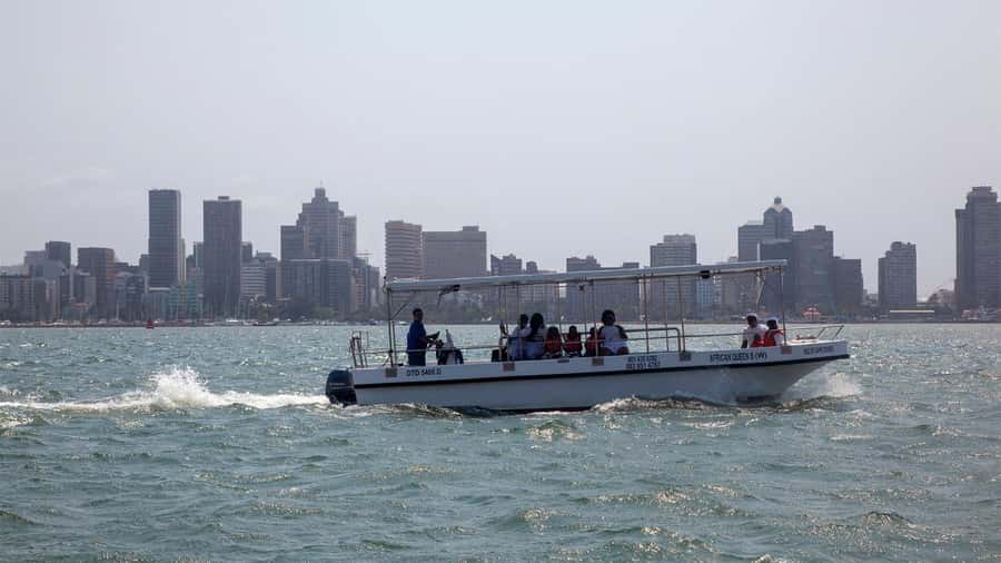 Durban: 1-Hour Boat Cruise from Wilson's Wharf - Key Things That Make This Cruise Worth Your Hour