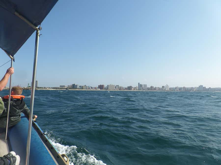 Durban: 1-Hour Boat Cruise from Wilson's Wharf - Durban Skyline From Sea Level: Photos and Orientation in One Hour