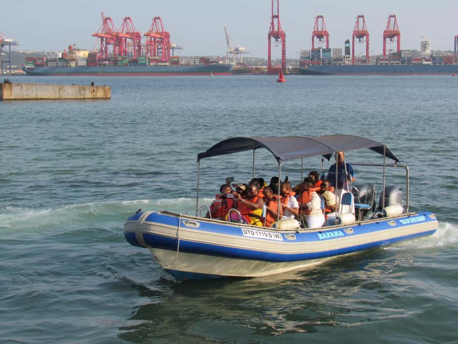 Durban: 1-Hour Boat Cruise from Wilson's Wharf - Onboard Vibes: Music, Dancing, and Guides Who Actually Explain Things