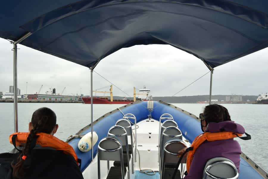 Durban: 1-Hour Boat Cruise from Wilson's Wharf - Weather, Sea State, and the Real Meaning of “Rain or Shine”