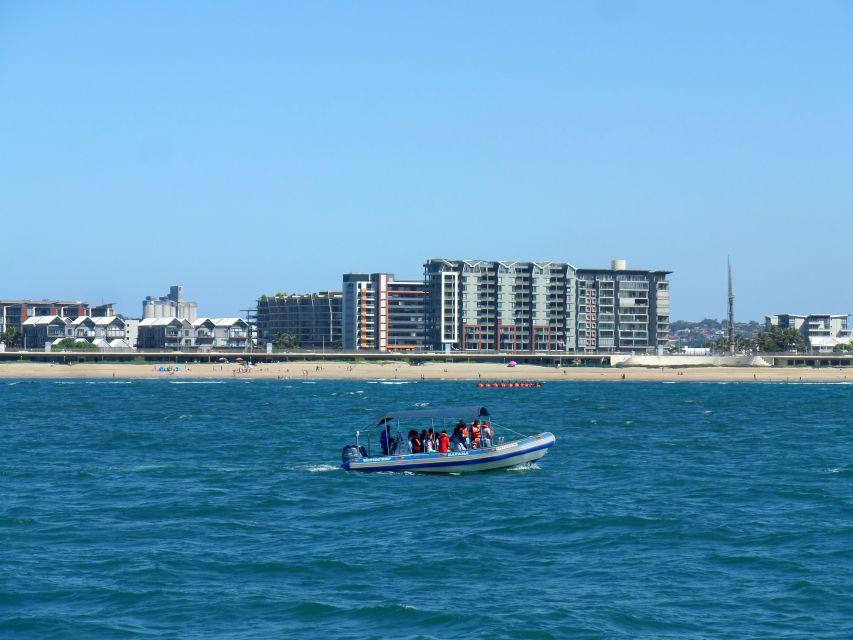 Durban: 1-Hour Boat Cruise from Wilson's Wharf - Practical Tips That Help You Enjoy Every Minute