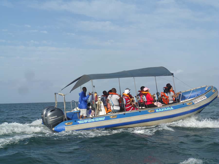 Durban: 1-Hour Boat Cruise from Wilson's Wharf - Durban Harbor in Motion: Container Ships and Cruise Vessels Close Up