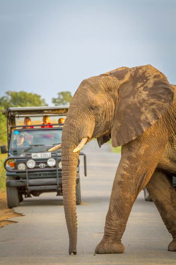 Durban:3 Day Hluhluwe-Imfolozi Park, St Lucia, iSimangaliso - Key Highlights You Will Actually Care About
