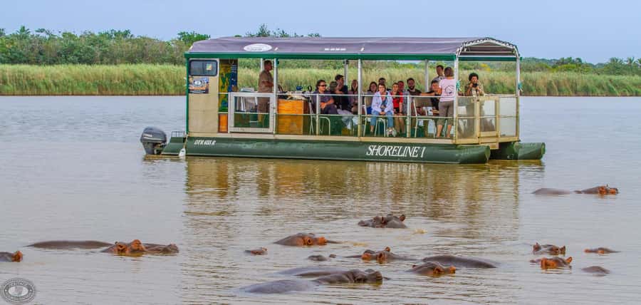 Durban:3 Day Hluhluwe-Imfolozi Park, St Lucia, iSimangaliso - Who this 3-day Durban safari fits best