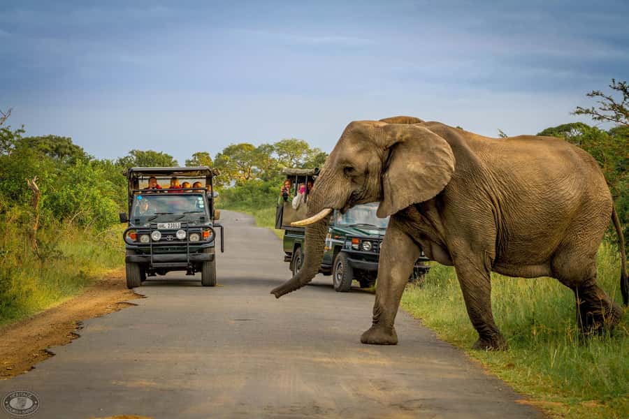 Durban:3 Day Hluhluwe-Imfolozi Park, St Lucia, iSimangaliso - Durban to St Lucia: the road trip that sets your safari tempo
