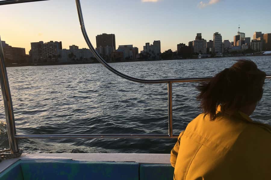 Durban: 30-Minute Harbor Boat Cruise - Tugboats, docks, and the narrated “how it works” moments