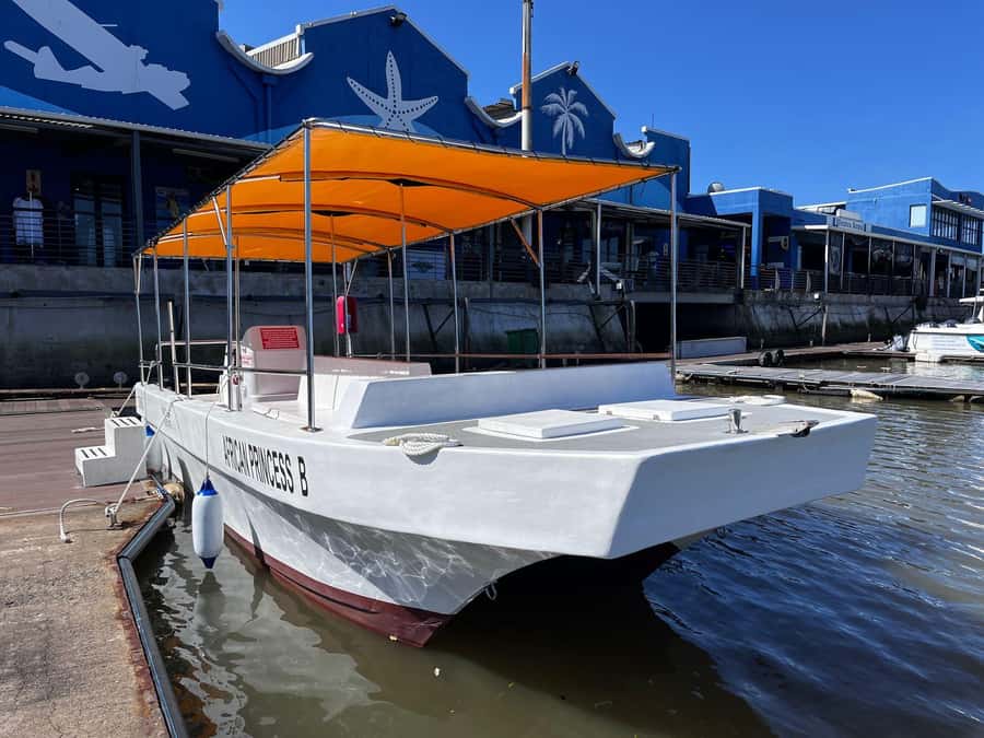 Durban: 30-Minute Harbor Boat Cruise - Birds in the harbor, plus the one gear that makes it better