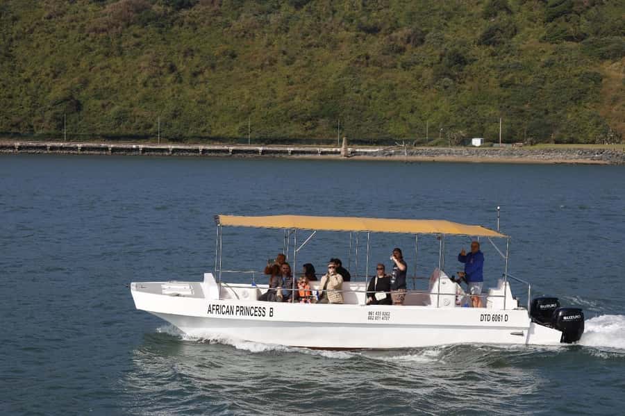 Durban: 30-Minute Harbor Boat Cruise - Money matters: what $7 buys in value and experience