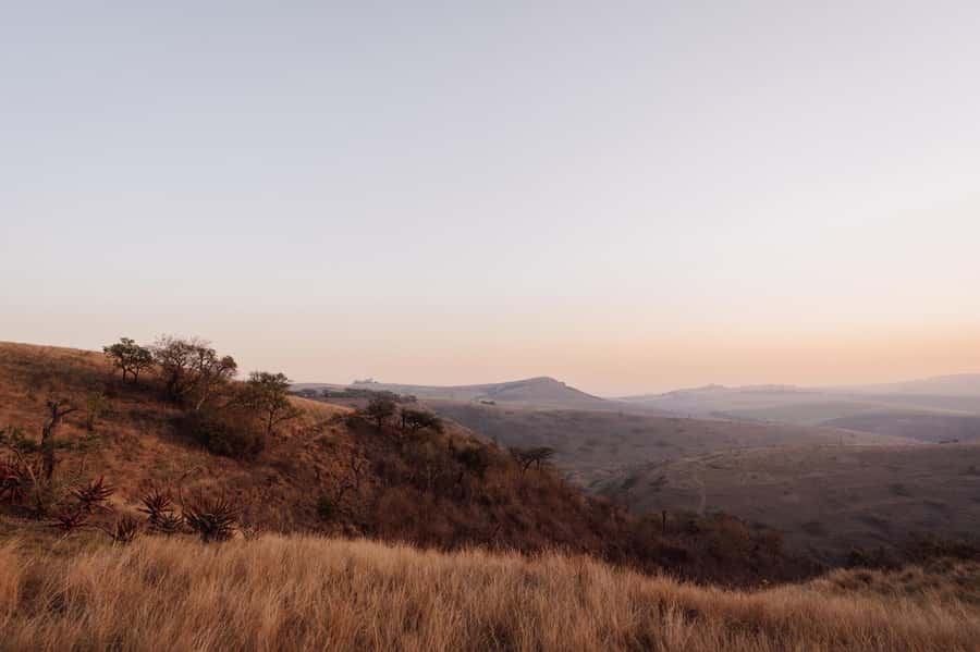 Durban: All-in-one Luxury Spa Package at Gwahumbe Game & Spa - Two-course lunch with wine or soft drink, and why it’s more than a break