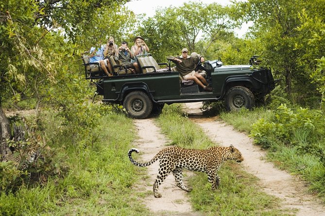 Durban: Big 5 Safari - Open Safari Vehicle at Exclusive Reserve - Manyoni Private Game Reserve is the real draw