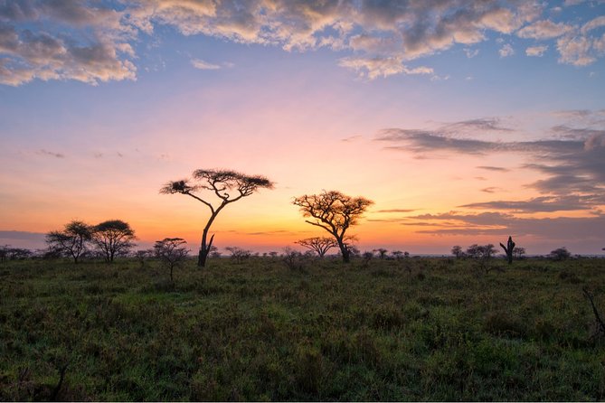 Durban: Big 5 Safari - Open Safari Vehicle at Exclusive Reserve - Comfort, what’s included, and the lunch gap