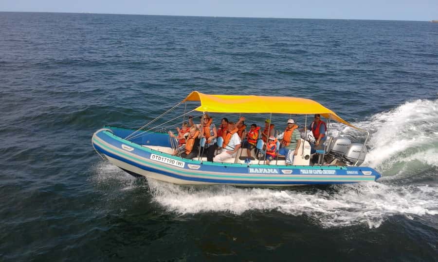 Durban: Durban: Whale and Dolphin Watching Boat Tour - The on-water plan: from the marina to the whale zone