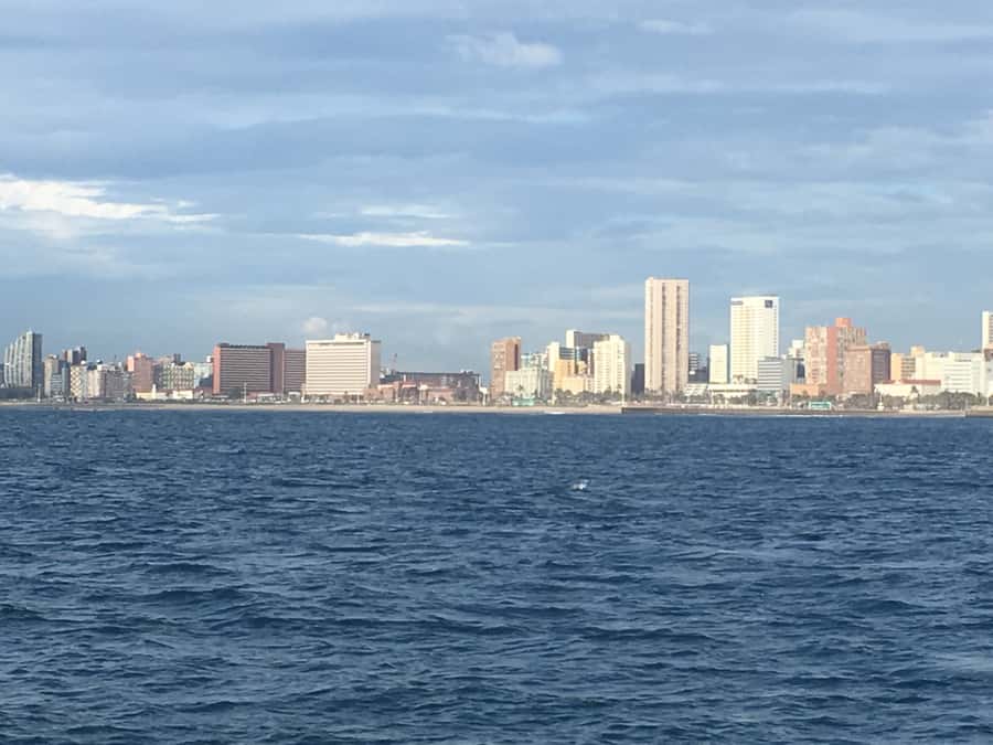 Durban: Durban: Whale and Dolphin Watching Boat Tour - Why winter humpback watching in Durban is different
