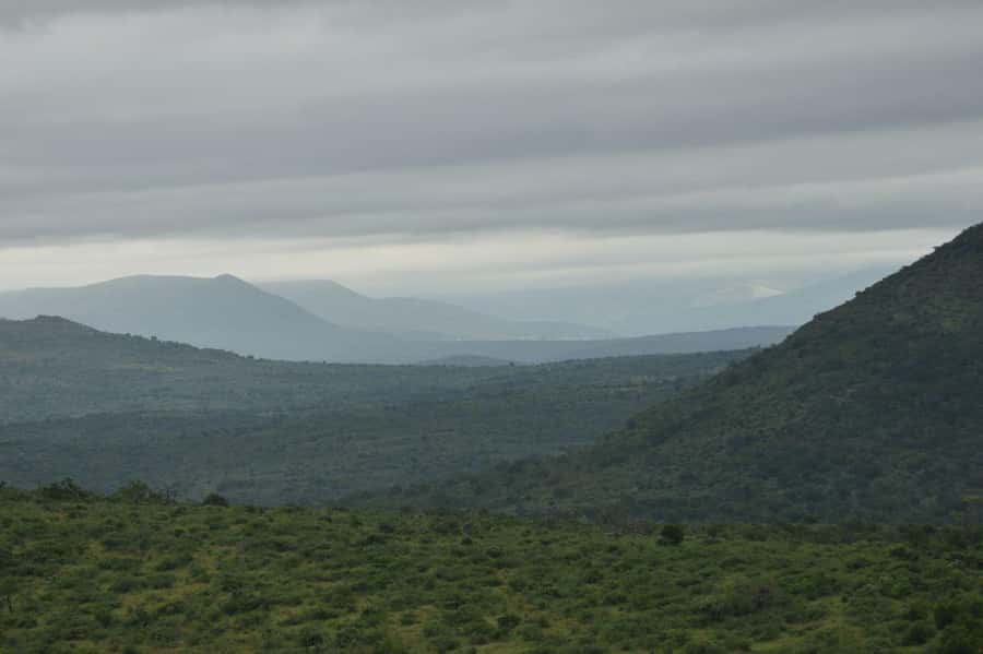 Durban: Full Day Hluhluwe-iMfolozi Game Reserve with lunch - Bird spotting: 425 species turns waiting into something useful