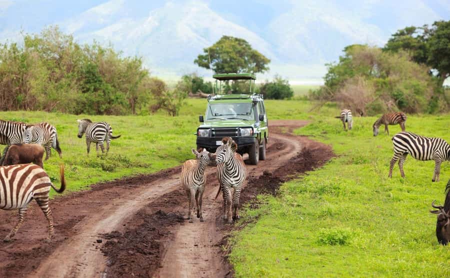 Durban: Half Day Phezulu Safari Park and Durban City Tour - Phezulu Safari Park game drive in the Valley of 1000 Hills