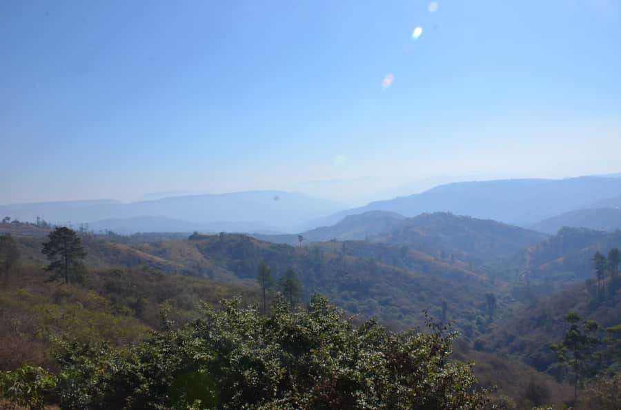 Durban: Phezulu Cultural Village & Reptile Park Tour - Getting from Durban to the Valley of a Thousand Hills