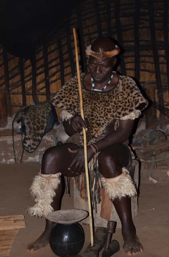 Durban: Phezulu Cultural Village & Reptile Park Tour - The reptile park: crocodiles, anacondas, and a hands-on Cleo python