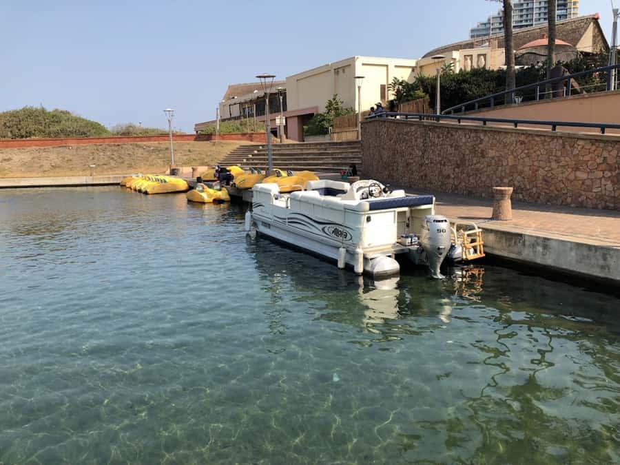 Durban Point Waterfront: Luxury Canal Boat Cruise - Key highlights to look for on the Durban Point canal cruise