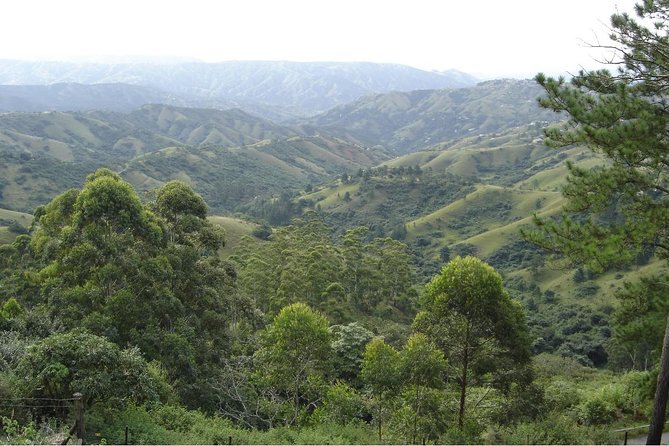 Durban Shore Excursion: Valley of 1000 Hills and PheZulu Tour - Durban port to the Valley of 1000 Hills, and why the drive matters