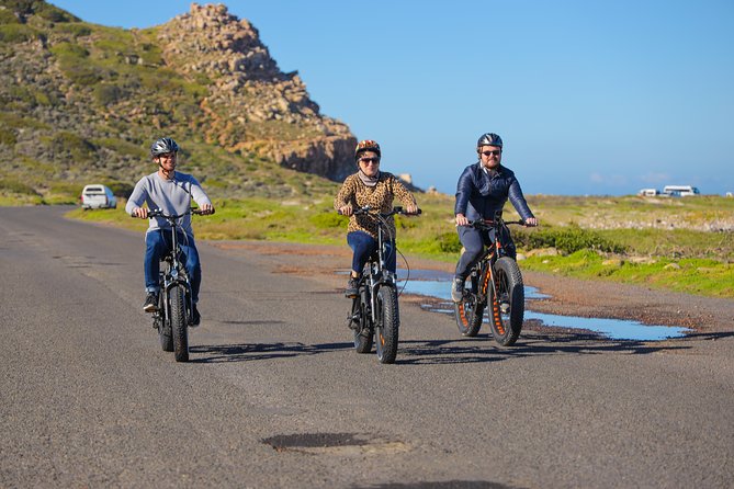 E-Bike Cape Peninsula tour - Getting There: Air-Conditioned Pickup and Wi-Fi, Then Helmets On