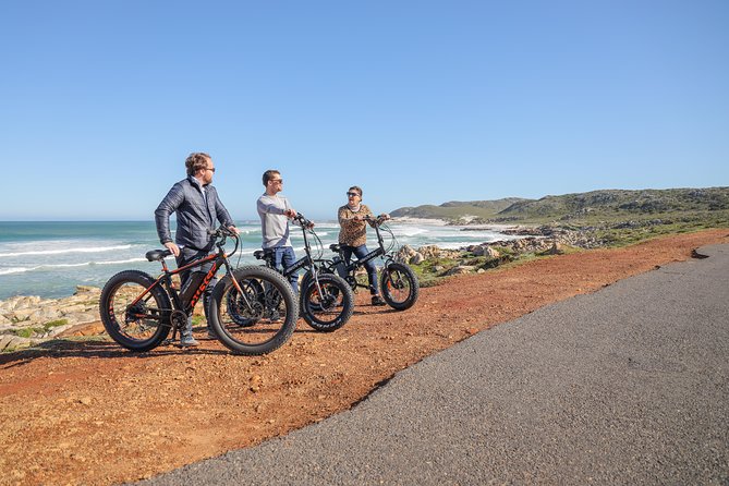 E-Bike Cape Peninsula tour - What the E-Bikes Actually Change for Your Day