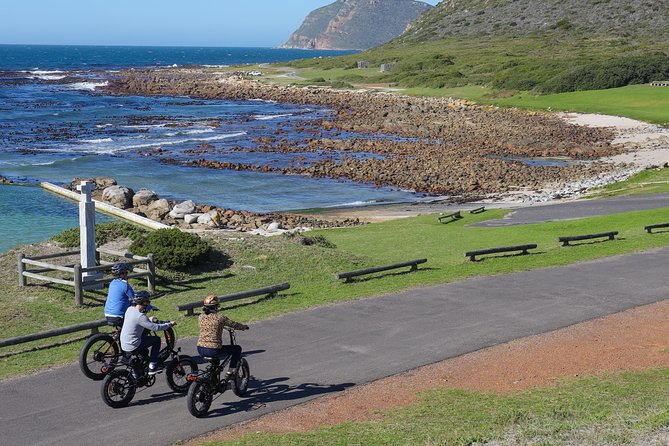 E-Bike Cape Peninsula tour - Practical Tips to Make the Most of Cape Point and Good Hope
