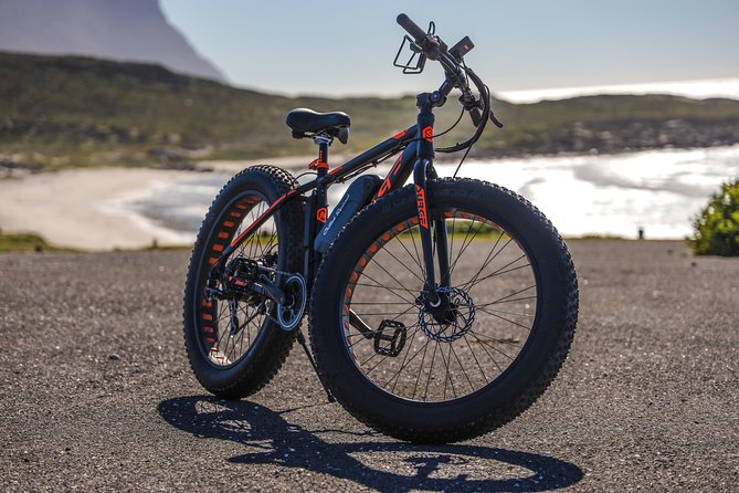 E-Bike Cape Peninsula tour - The Optional Boulders Beach Penguin Colony Stop
