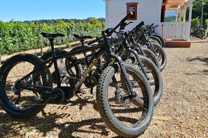 E-Bike Wine Tour Stellenbosch (Half Day) - Key Highlights Worth Planning Around