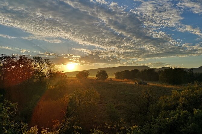 Early Morning Balloon Safari with Breakfast from Magaliesburg - Price and value: what you pay for in the sky and on the ground