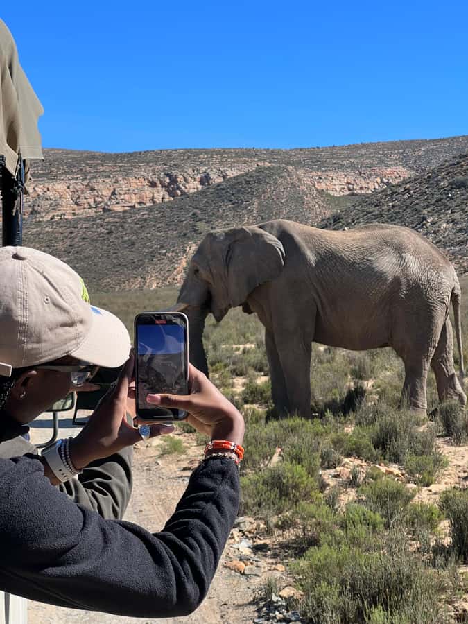 Early Morning Safari Big Five Experience Near Cape Town, SA - Reserve Breakfast: Halal, Vegetarian Options, And Zero Pork