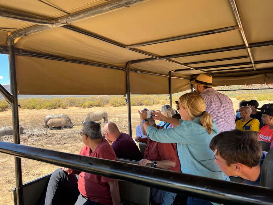 Early Morning Safari Big Five Experience Near Cape Town, SA - Price And Value: Is $342 Per Person Fair?