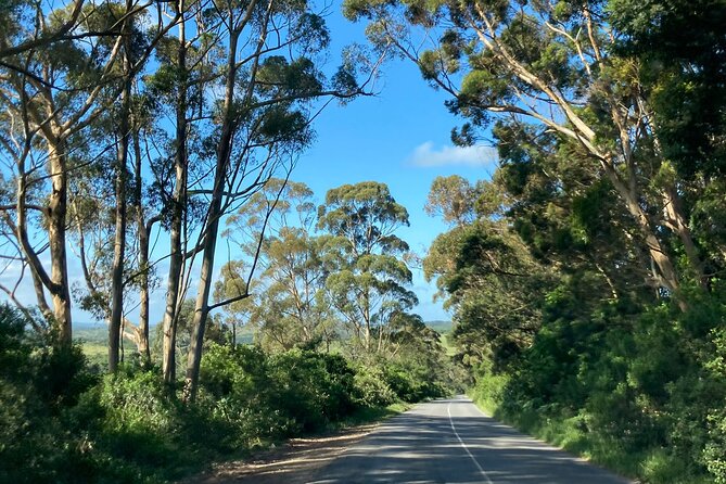 East London Airport Private Shuttle to Chintsa - East London Airport to Chintsa, the simple door-to-door flow