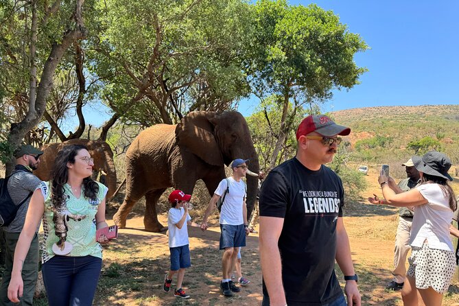 Elephant & Monkey Sanctuary Tour from Johannesburg - Key highlights to know before you go