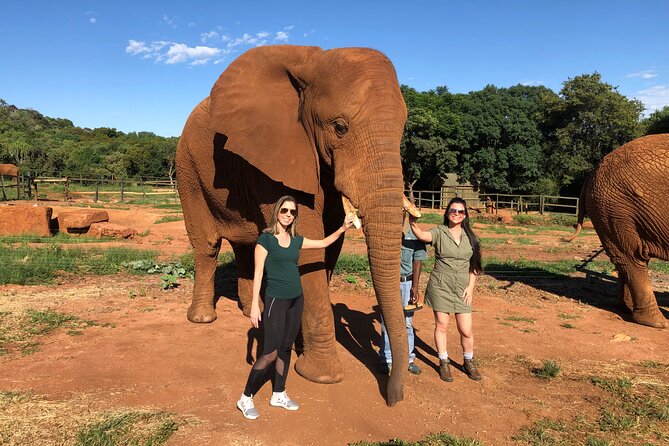 Elephant & Monkey Sanctuary Tour from Johannesburg - A smart half-day plan from Johannesburg to Hartebeespoort Dam