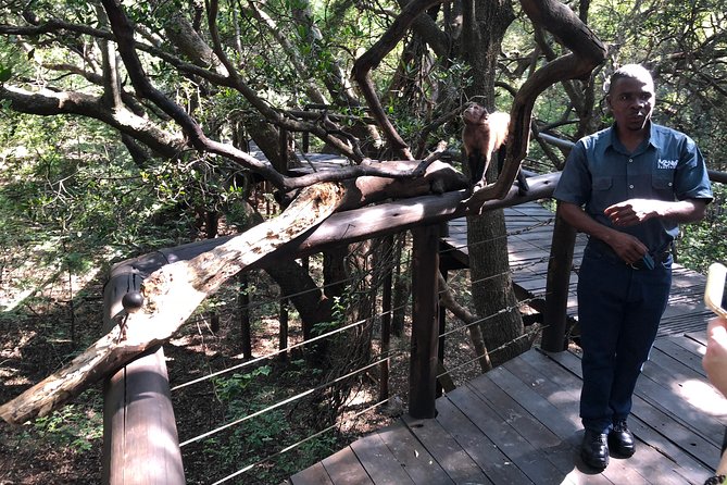 Elephant & Monkey Sanctuary Tour from Johannesburg - The 10-minute Hartebeespoort Dam stop: quick scenery refresh