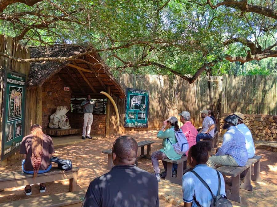 Elephant & Monkey Santuary with Lion Park Tour - Key things to know before you go