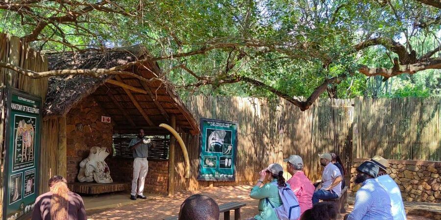 Elephant & Monkey Santuary with Lion Park Tour - How the van schedule shapes your day
