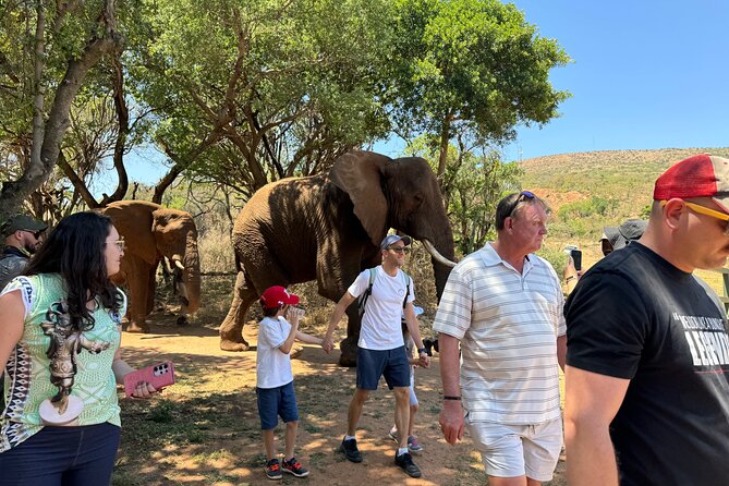 Elephant Sanctuary Tour from Johannesburg - Johannesburg to Hartbeesport Dam: why this route feels stress-free