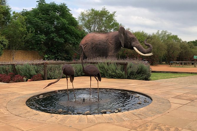 Elephant Sanctuary Tour from Johannesburg - Who should book this Elephant Sanctuary Tour, and who should skip it
