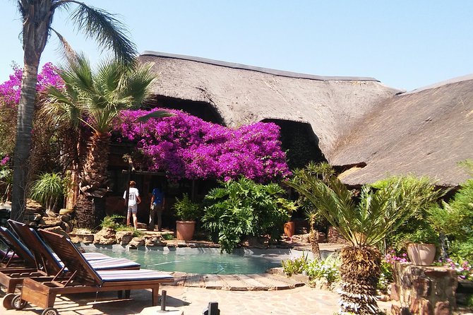 Elephant Walk Guided Half Day Tour from Johannesburg - Meals, tea, and the comfort wins you do not want to miss