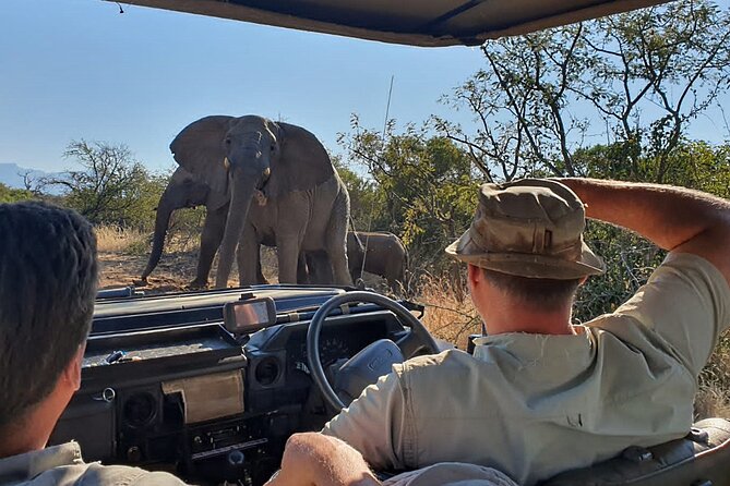 Exclusive Morning Game Drive Safari near Hoedspruit - From Leadwood gate to the sightings: how the 3 to 4 hours usually flow