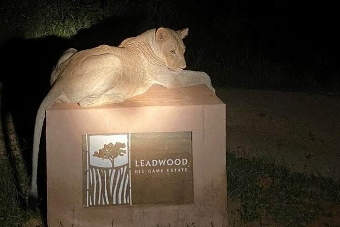 Exclusive Night Drive Safari near Hoedspruit - Booking rhythm, weather dependence, and practical readiness
