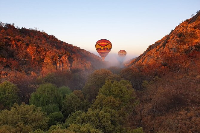 Exclusive Safari Flight - Wildlife Viewing: What You Can Hope to See