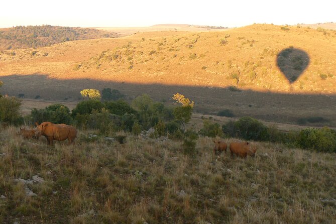 Exclusive Safari Flight - Practical Tips for a Smooth Sunrise