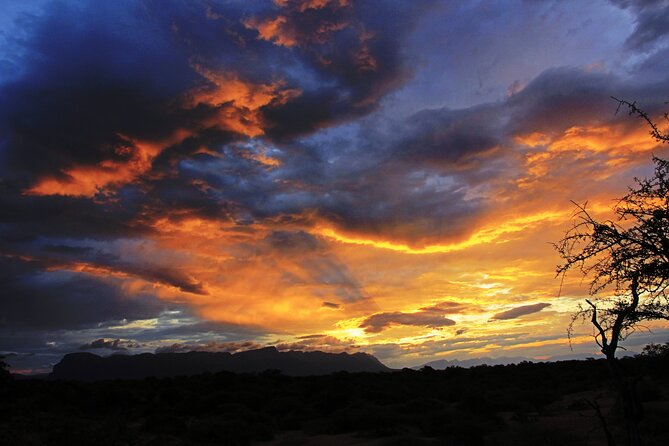 Exclusive Sunset Game Drive Safari near Hoedspruit - Key Highlights You Will Actually Feel