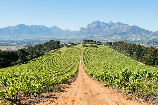 Experience 16 Wine Tasting & 6 Cheese Pairing across 3 Vineyards - Stop 1: Fairview Wine and Cheese, where cheese is the main character