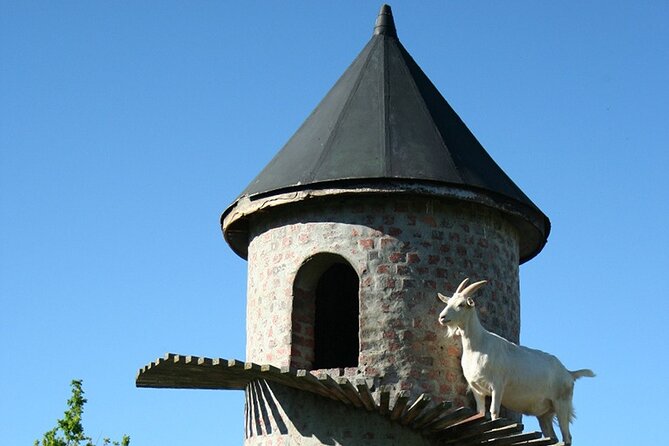 Experience 16 Wine Tasting & 6 Cheese Pairing across 3 Vineyards - What the included tastings really mean for your day