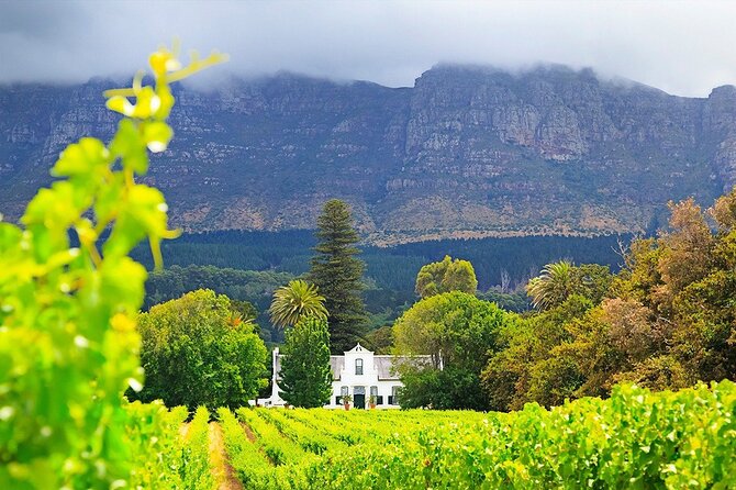 Experience 16 Wine Tasting & 6 Cheese Pairing across 3 Vineyards - Price and value: is $128.28 worth it?