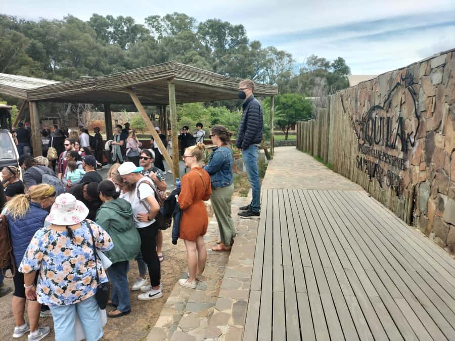 Experience an Amazing Big5 Safari near Cape Town! - Should You Book This Big Five Safari Near Cape Town?